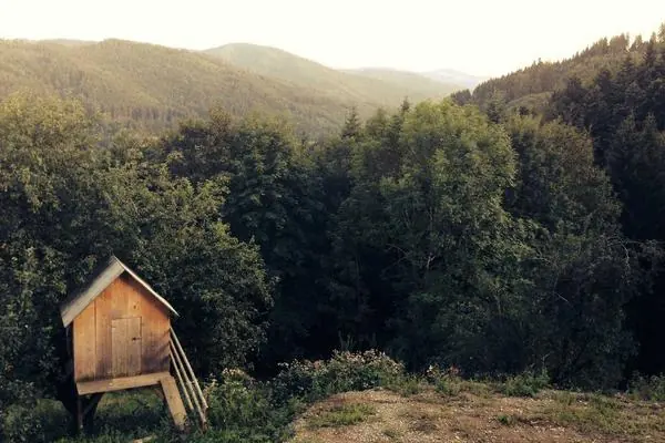 AI大模型训练平台案例